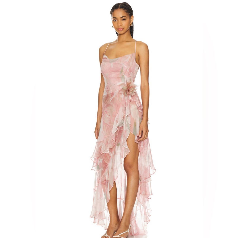 RETROFETE Samara Silk Chiffon Dress Dusty Pink Botanical ⭐️LUXURY PREMIUM⭐️ NWT - Picture 6 of 13